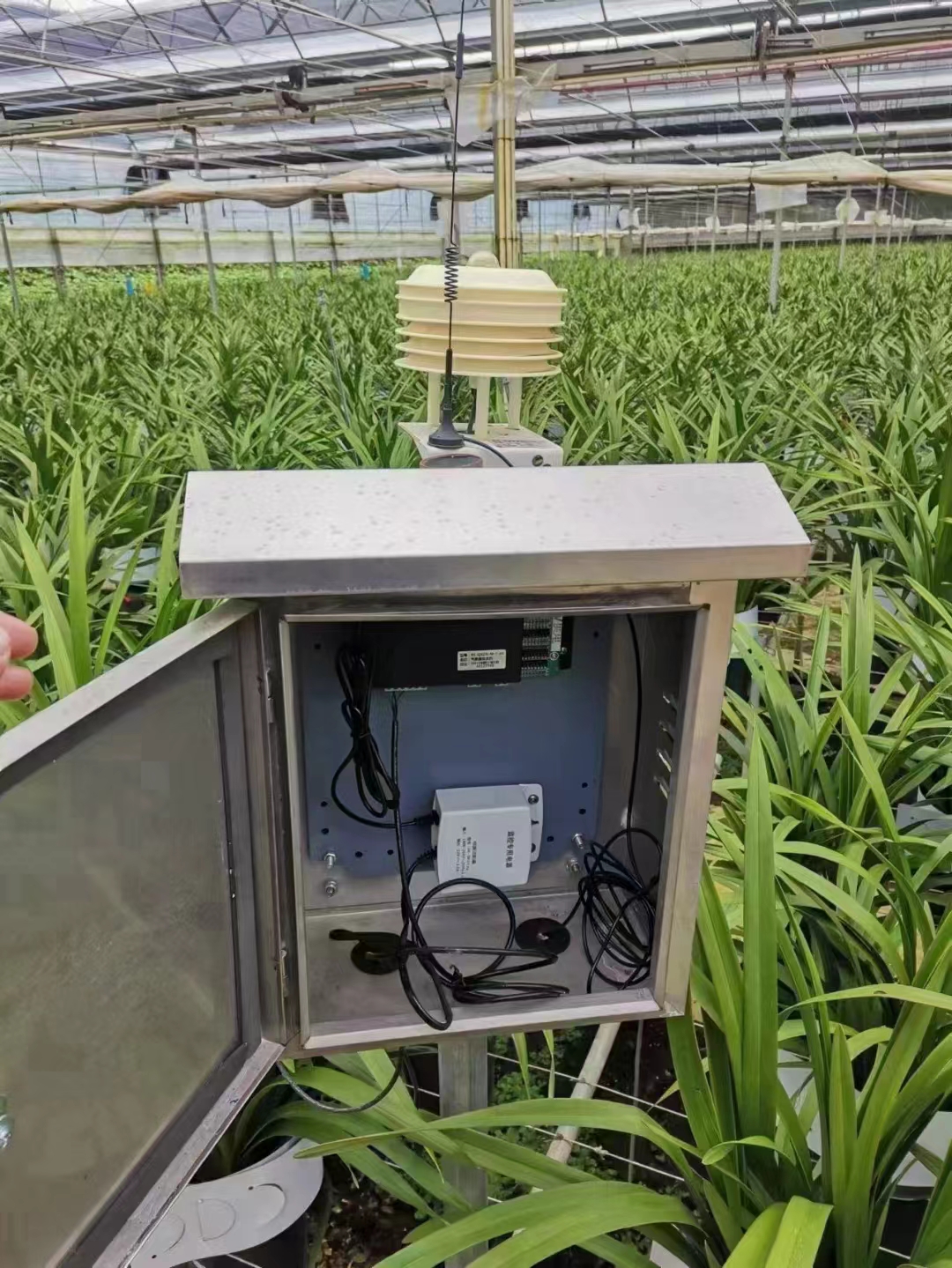 1704808536698080.jpg 2fc1cb424652200254f46ef9ceb080a.jpg