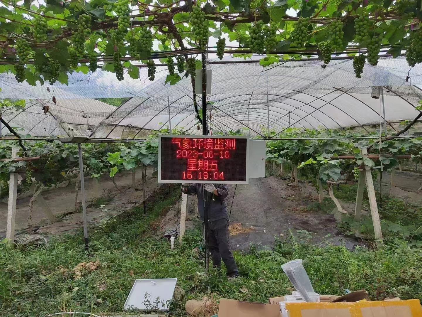 1704808552190078.jpg 9158c6d7b171fa6556a517fe56a9966.jpg