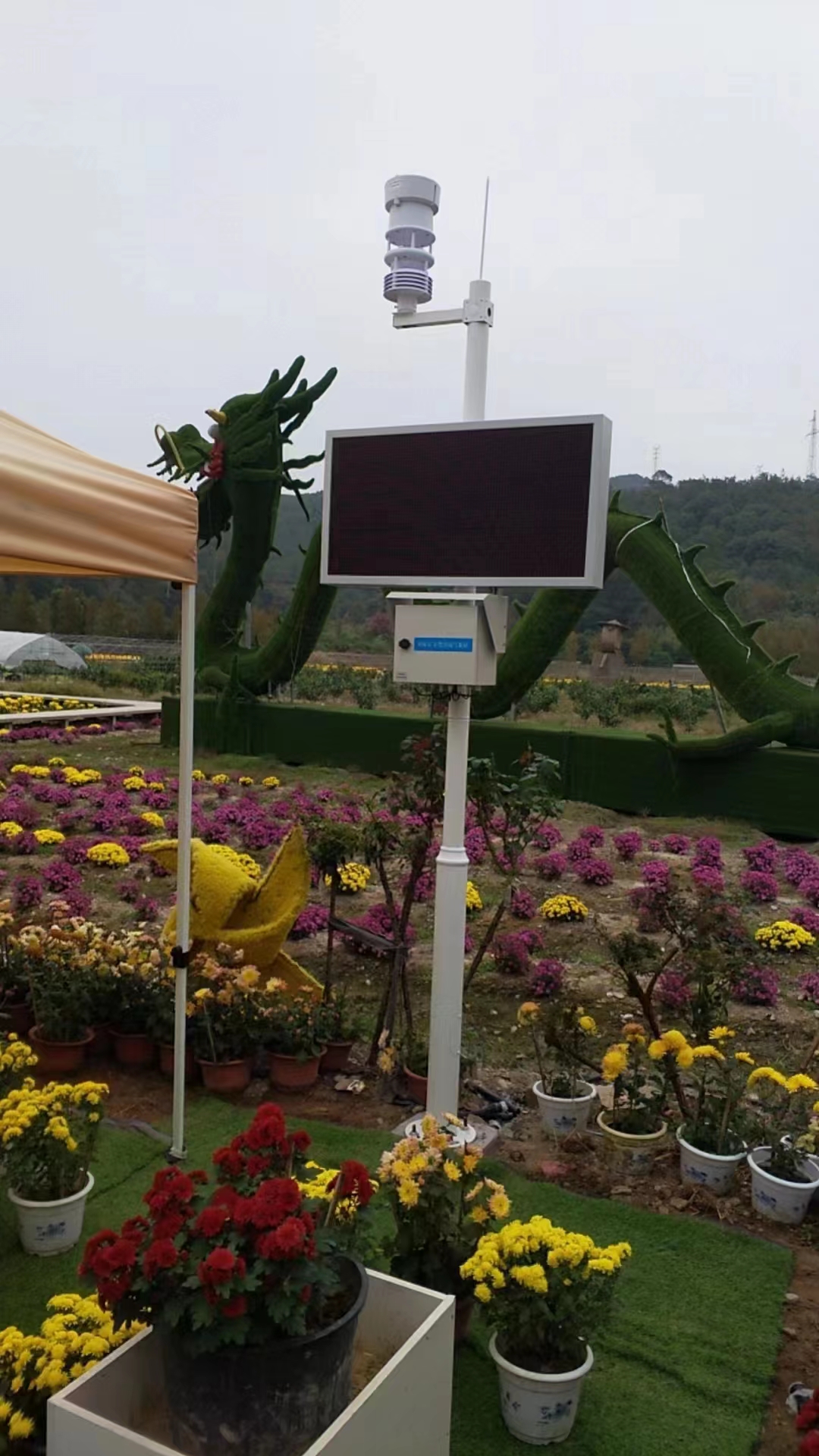 1704808562125071.jpg 9f25ae359fcea2f4e3401c37e9de332.jpg