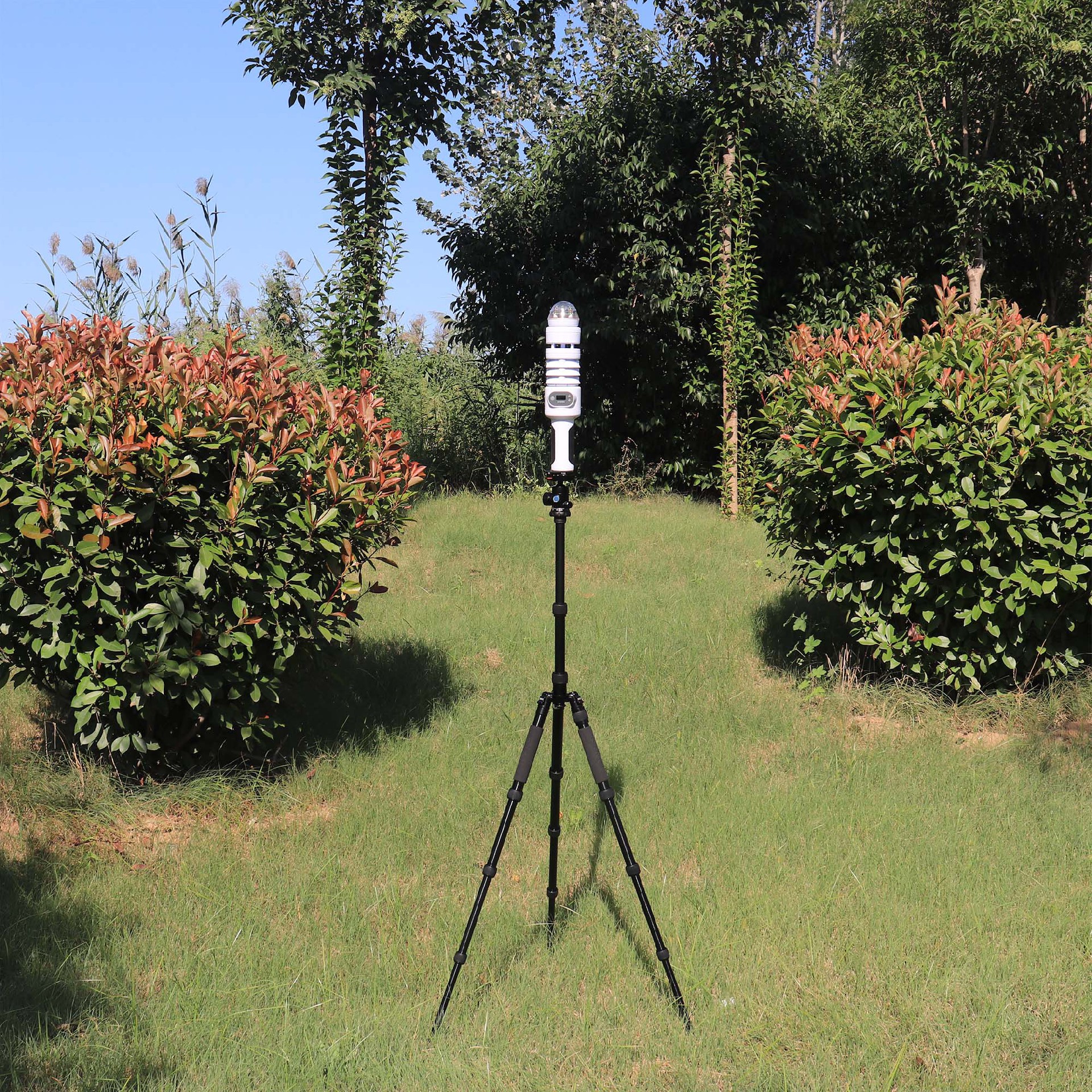 1704947172378759.jpg 2345_image_file_copy_10.jpg