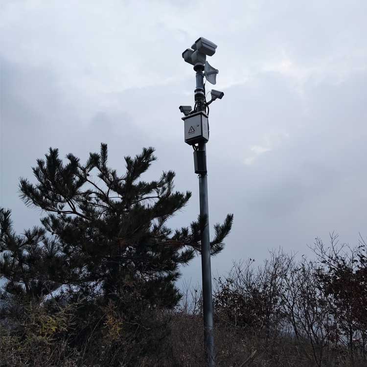 1719792016265169.jpg 2345_image_file_copy_1.jpg